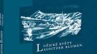 lužické květy 91128